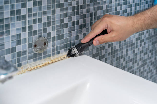 Best Black Mold Removal  in Wood River, IL