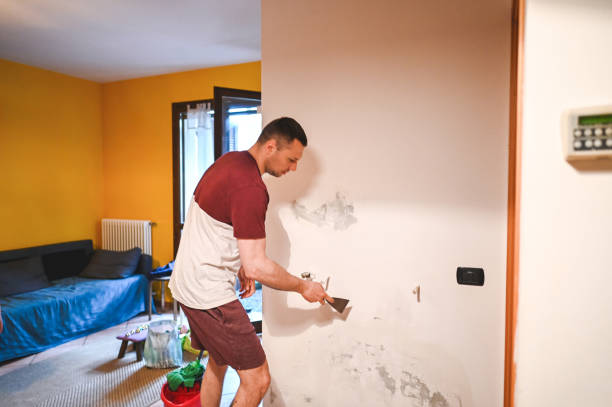 Best Attic Mold Removal  in Wood River, IL