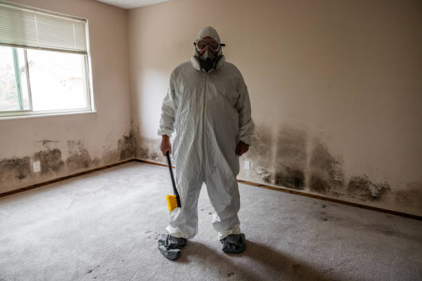 Best Office Mold Removal Services  in Wood River, IL